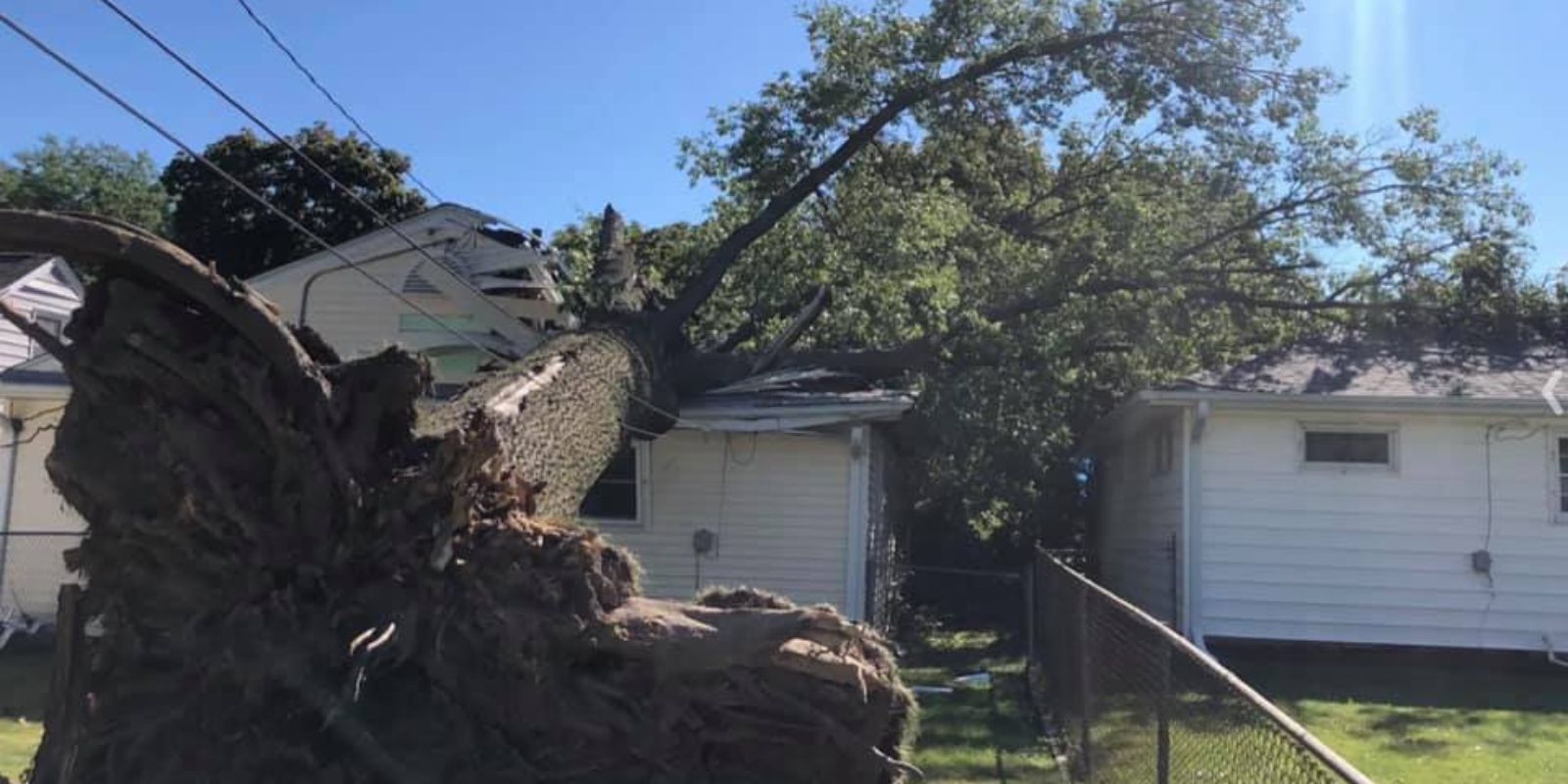 tree pruning spokane