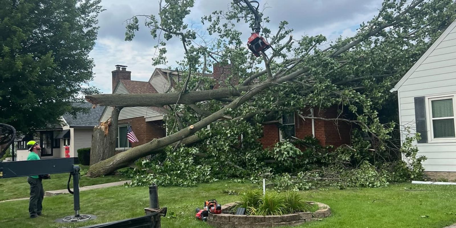 tree removal spokane